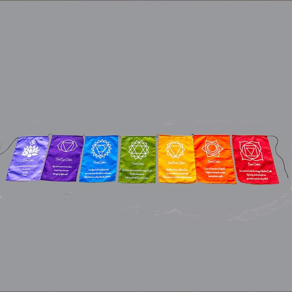 Chakra Bunting flags