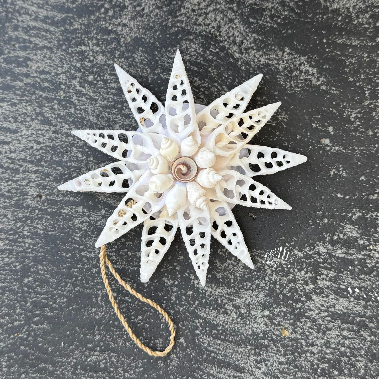 Shell Handicraft Star decorations