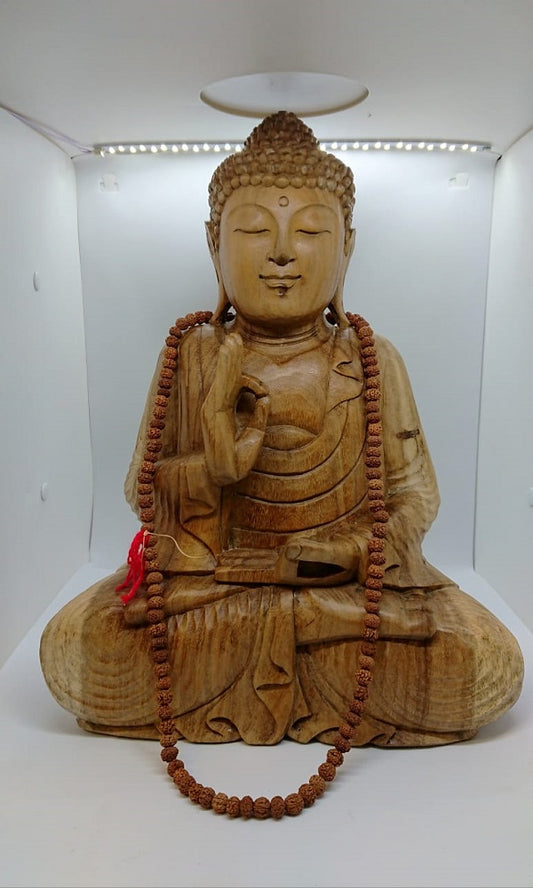 Natural Wood Buddha of Peace and Teaching